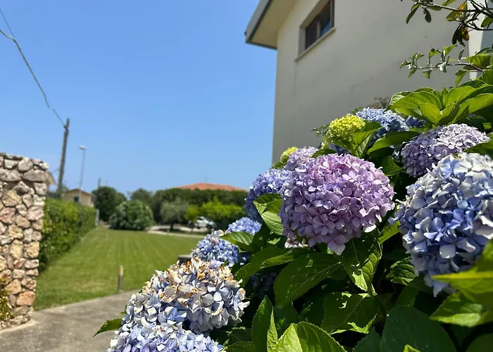 Chiara\'S Home